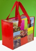 Laminate Cooler Bag